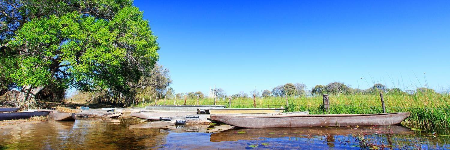 Excursion en mokoro sur l'Okavango
