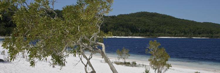 Excursion de deux jours sur Fraser Island