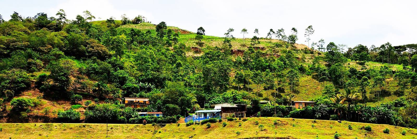 Immersion dans une finca traditionnelle