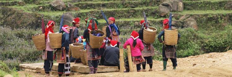 Initiation à l'agriculture vietnamienne (Tra Que)