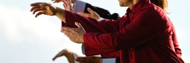 Initiation au Tai Chi avec un professeur