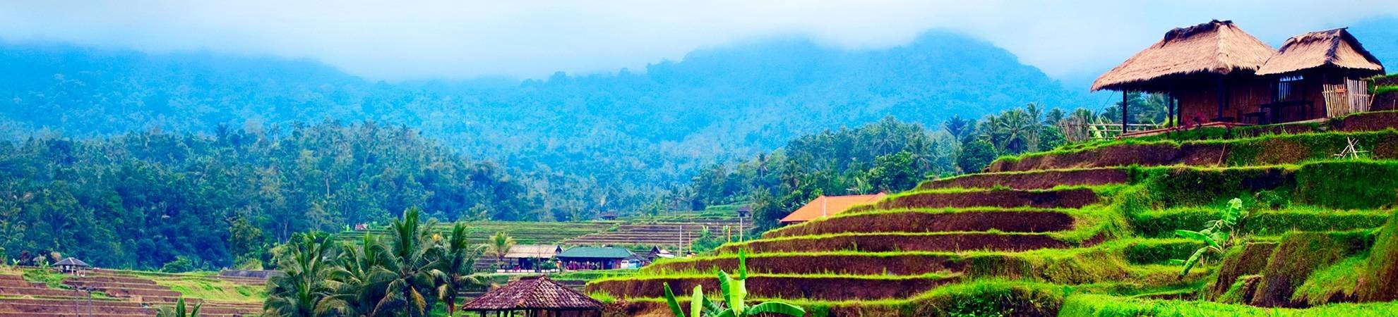 Journée à la découverte des alentours d'Ubud avec un Balinais