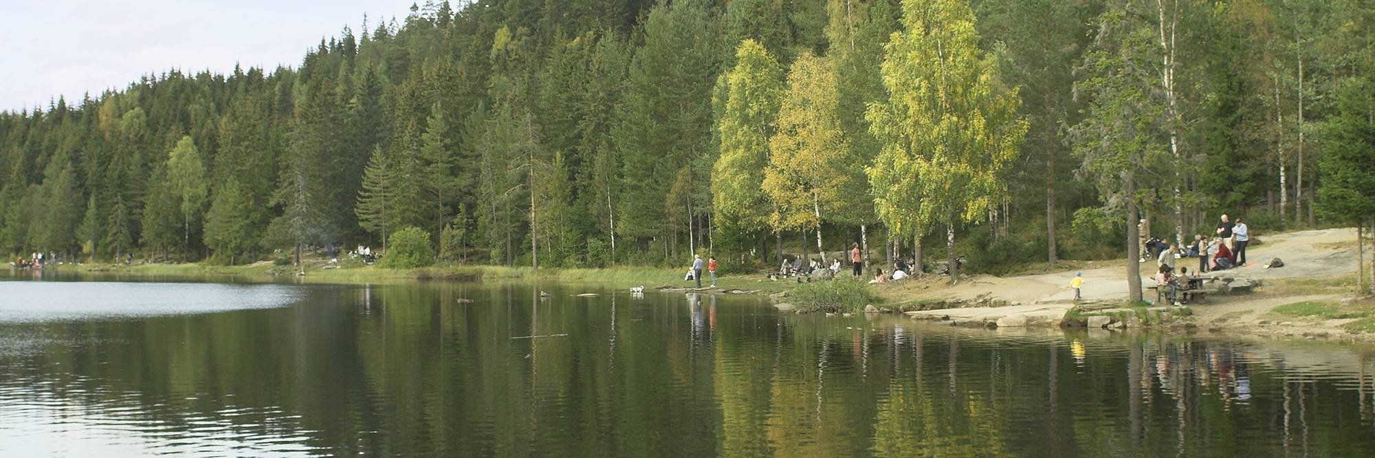Journée de balade dans la forêt d'Oslo Marka