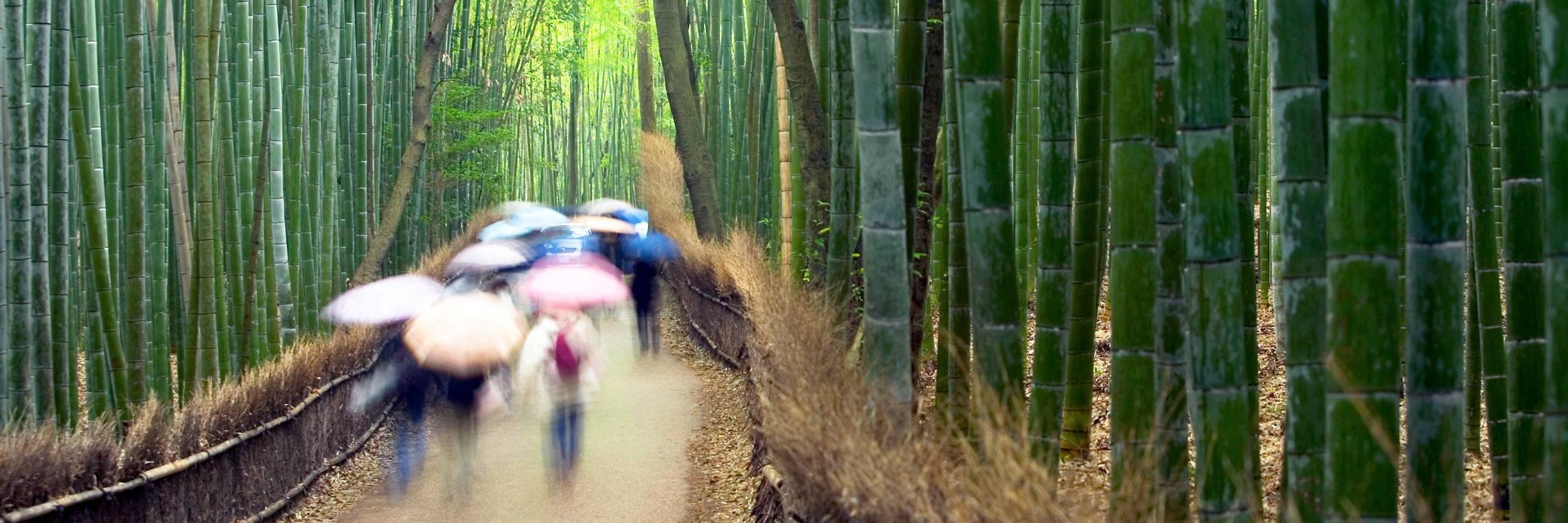 Visite guidée de Kyoto et Nara toute la journée