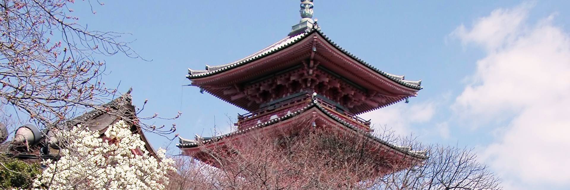 Visite de Kyoto le matin