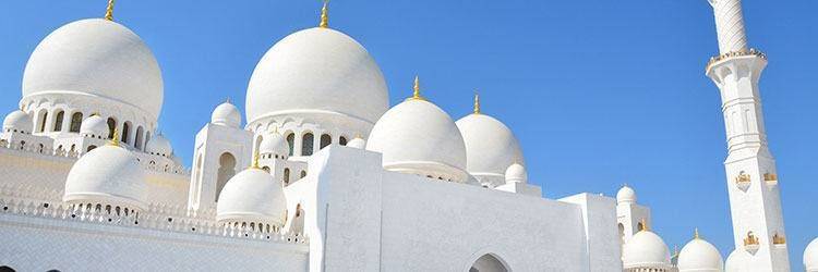 La Mosquée Sheikh Zayed et l'Hôpital des faucons