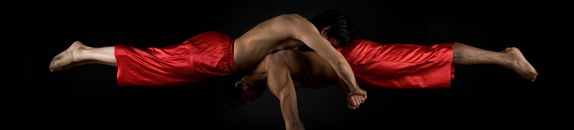 Le cirque PHARE, des performances inédites