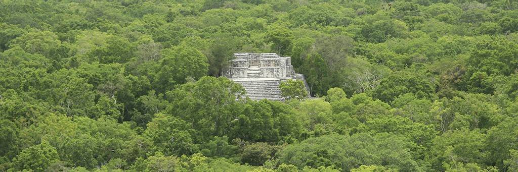 Le monde perdu de Calakmul