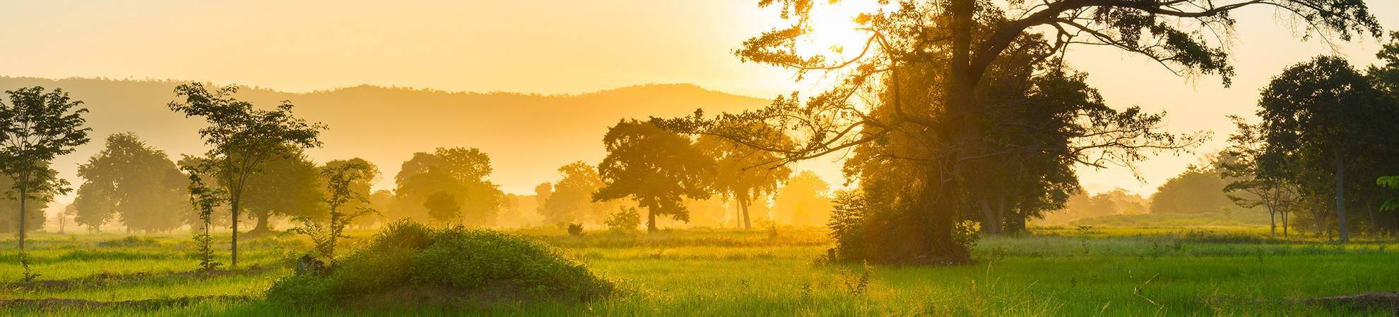 Le site naturel de Veal Ta Prak