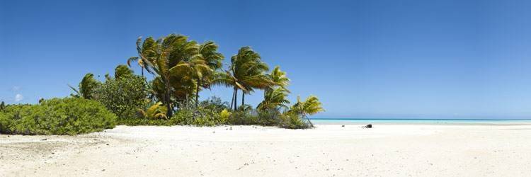 Les parcs nationnaux des Bahamas