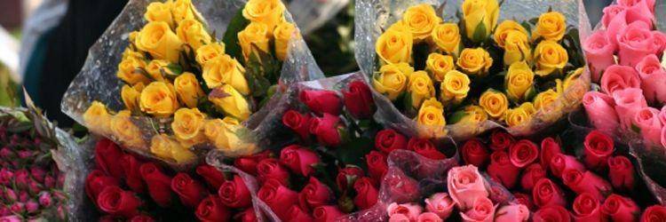 Marché de fleurs de Hanoï