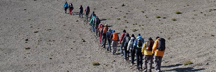 Mini-trekking et escalade sur glace au  Solheimajökull