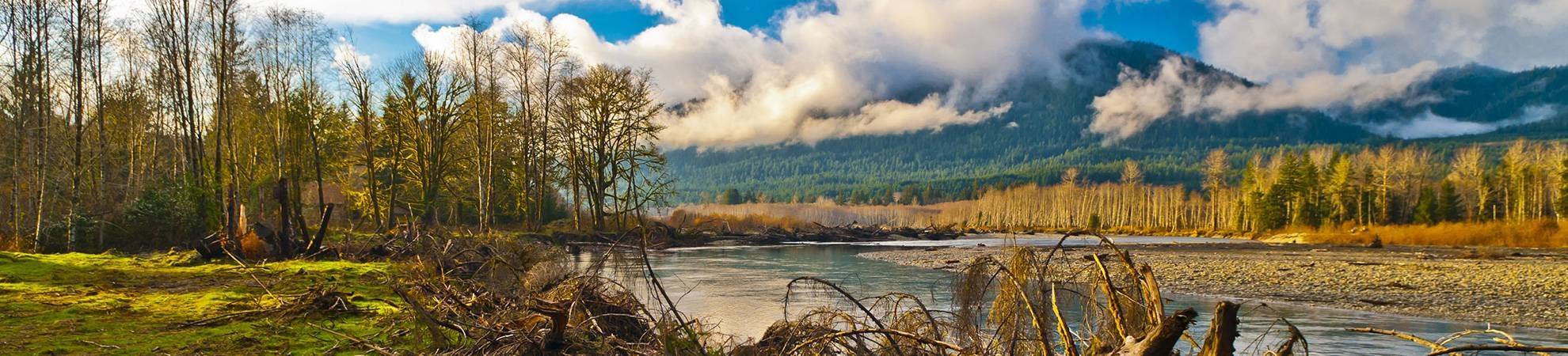 North Fork Quinault River Trail