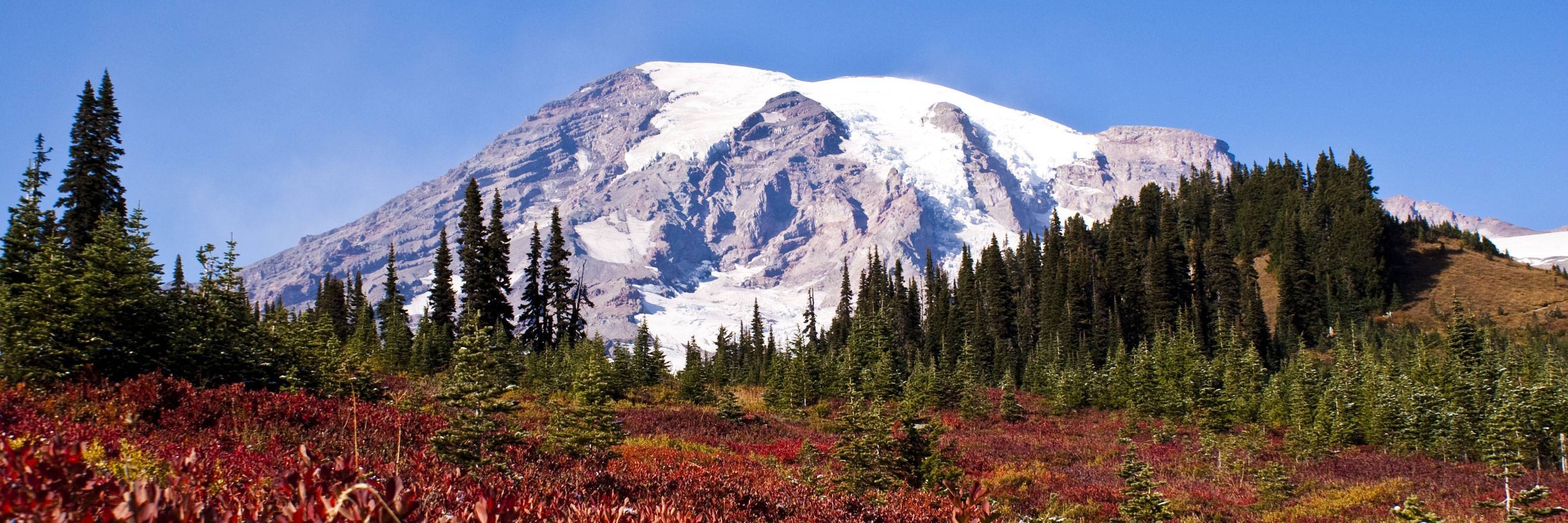 Parc National du Mont Rainier
