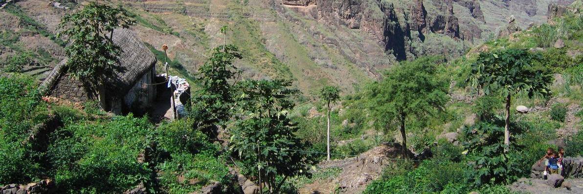 Le plateau de Lagoa