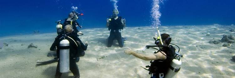 Plongée sous-marine et snorkeling - Mombasa