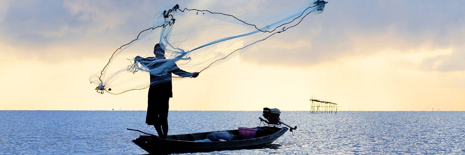 Pour une partie de pêche !