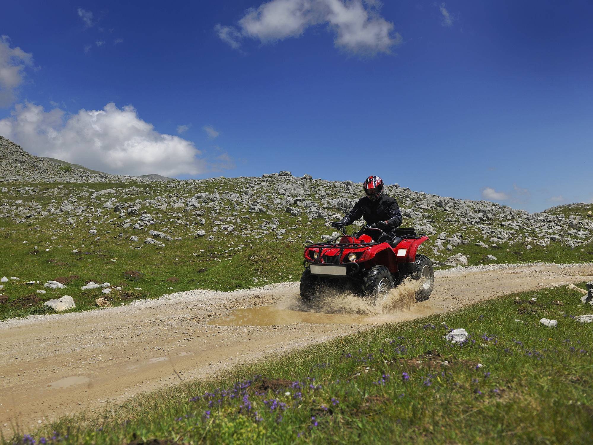 Quad