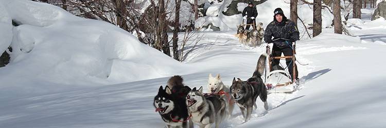 Raid en traîneau à chiens à Kulusuk