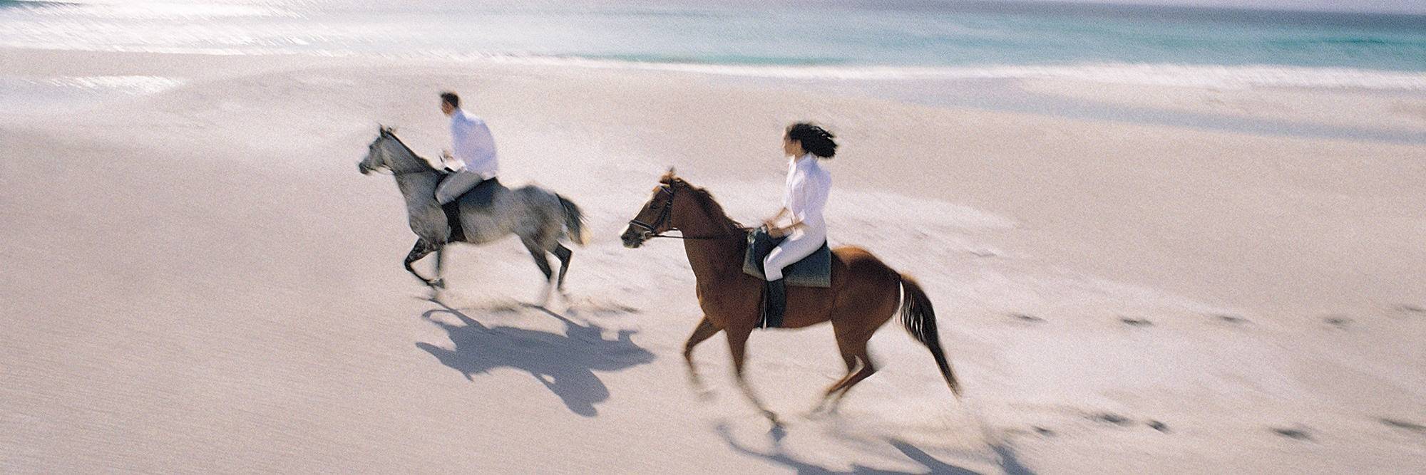 Randonnée à cheval