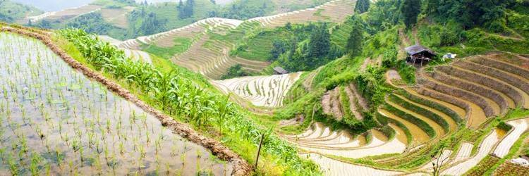 Randonnée à Yuanyang