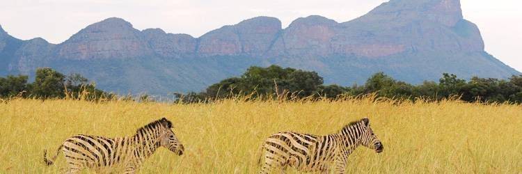 Randonnée sur le Plateau de Waterberg