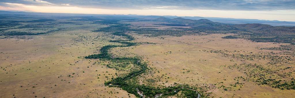 Safari à pied dans le Grumeti