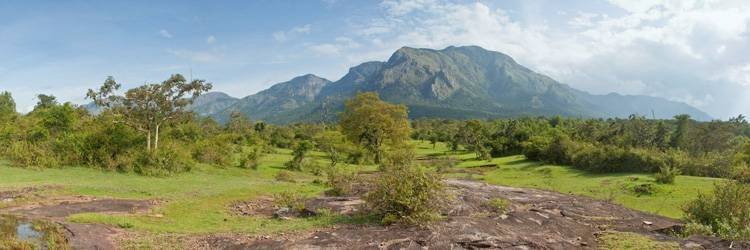 Safari dans le parc national d'Eravikulam