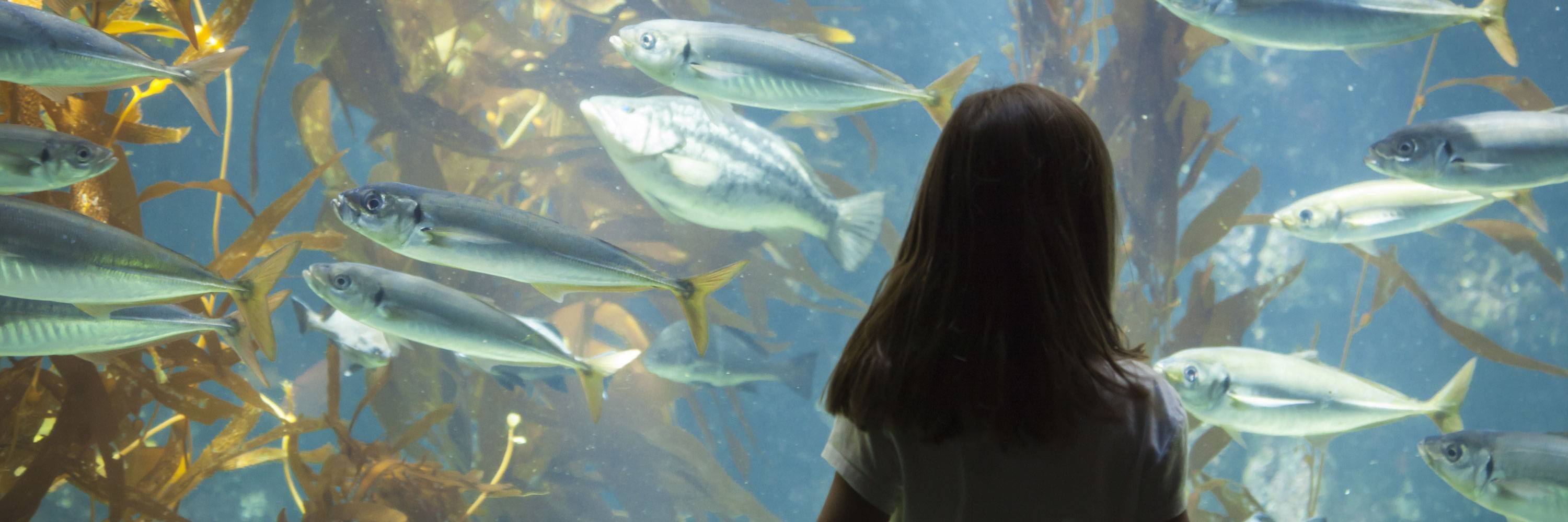 Seattle Aquarium