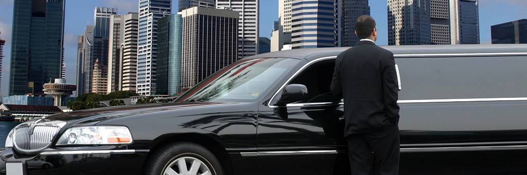Shopping de star en limousine