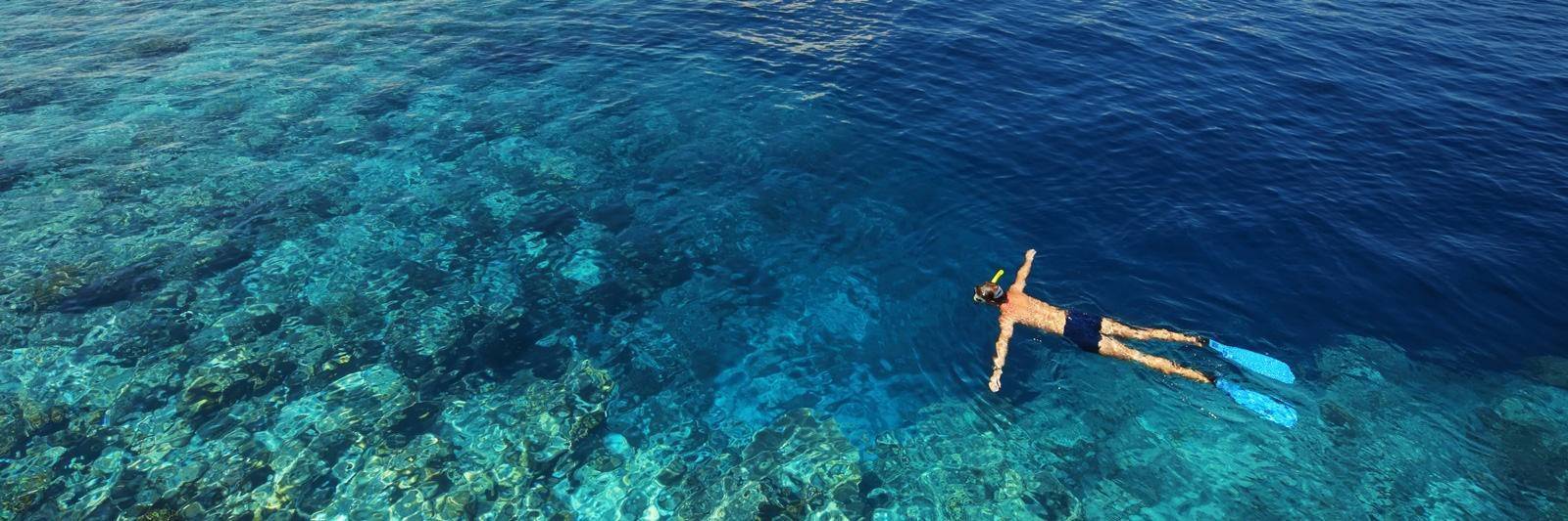 Sortie snorkeling en mer