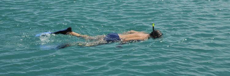 Snorkelling sur la barrière de corail