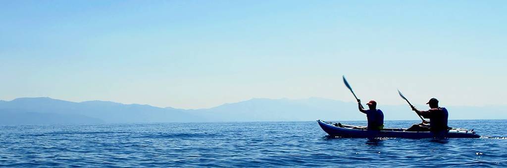 Sortie kayak avec les dauphins