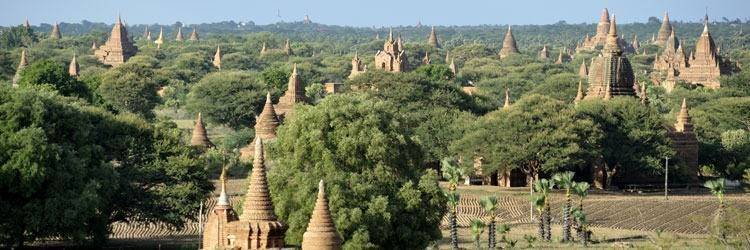 Survol du site de Bagan en montgolfière