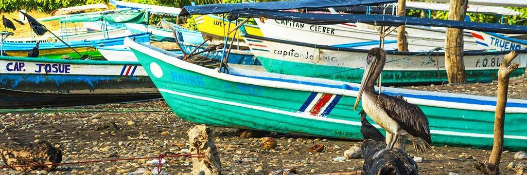 Tour en pirogue et rencontre avec les indiens de Yorkin