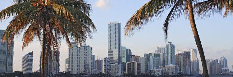 Transferts privé Miami Aéroport/Hôtel (réservable par nos soins)