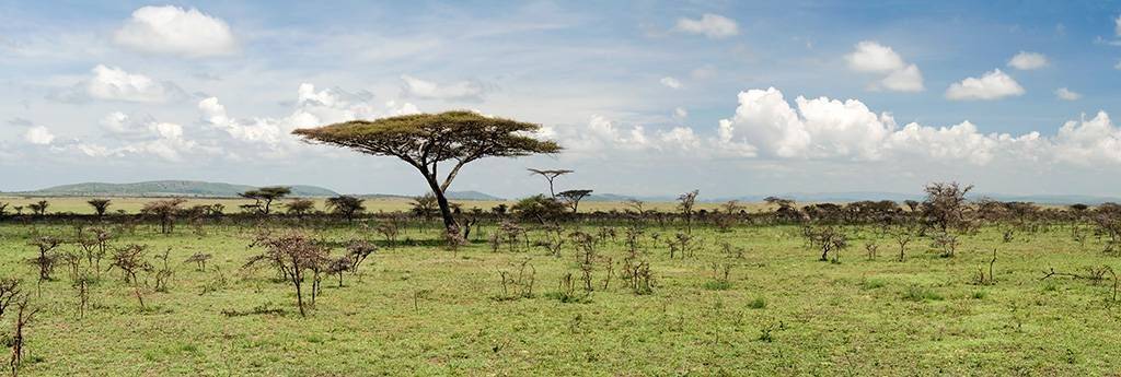 Trek dans les gorges d'Olduvai