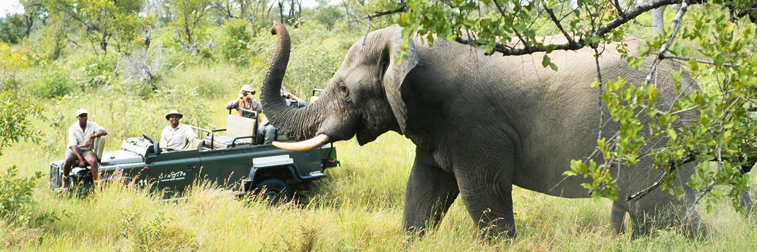 Un safari dans la réserve de Muhango