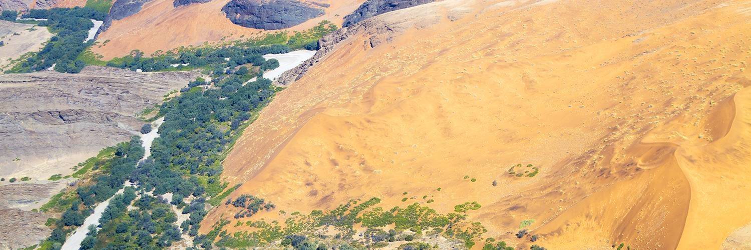 Un survol en avion du désert