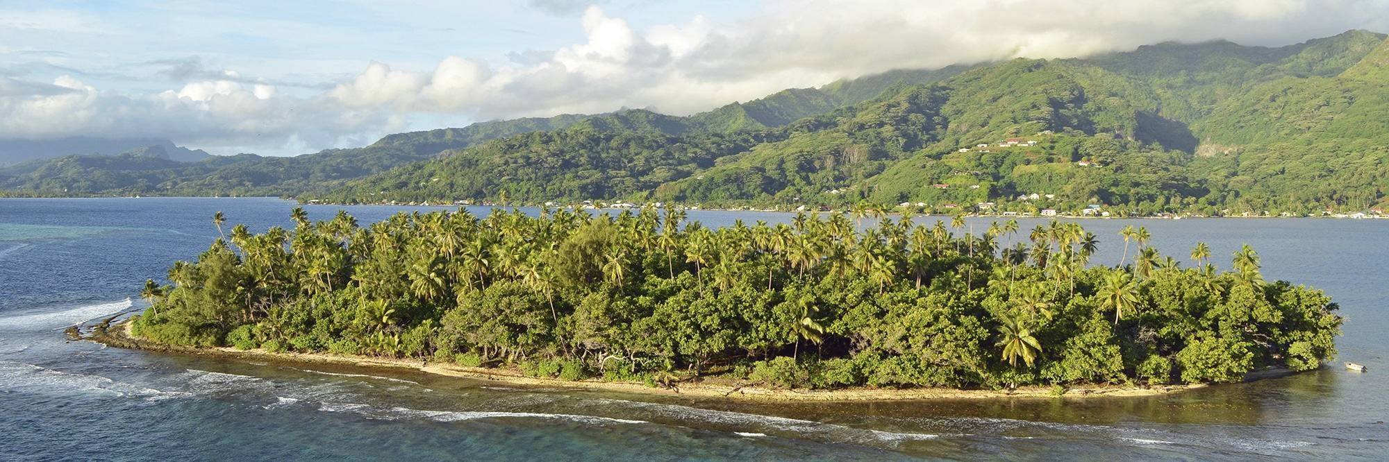 Une séance de plongée à Raiatea