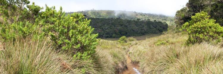 Vélo à Horton Plains