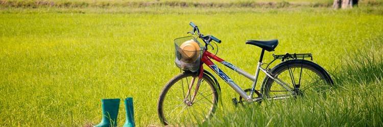 Vélo à Kontoku