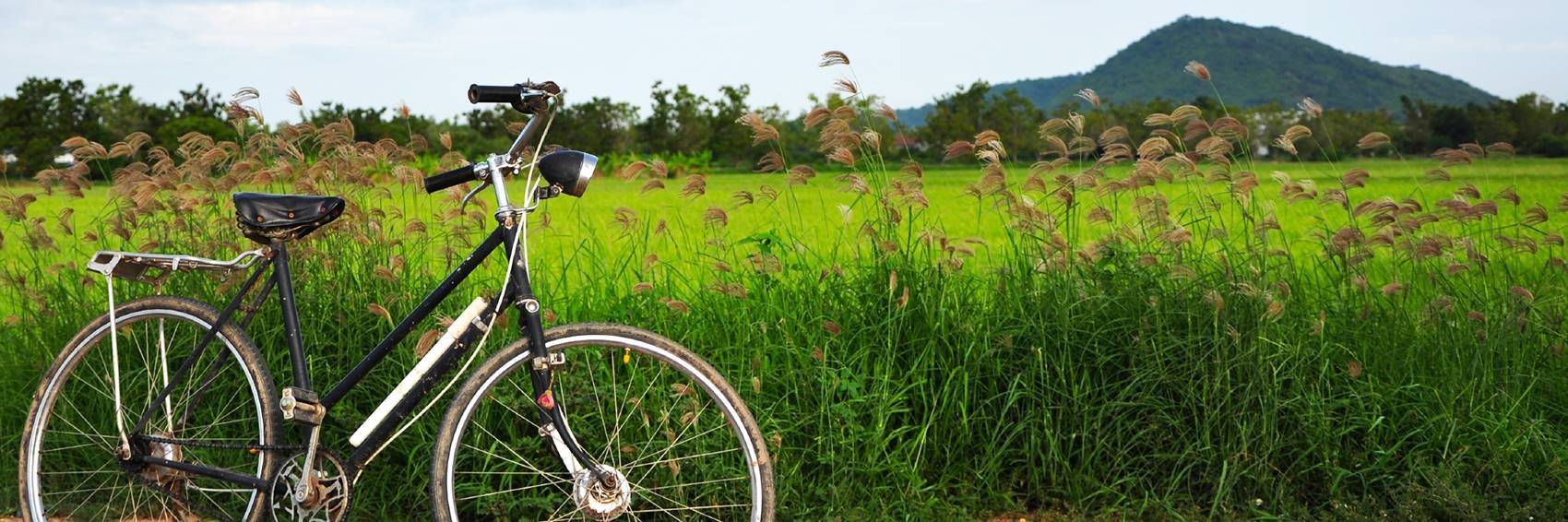 Vélo le long de la rivière des parfums