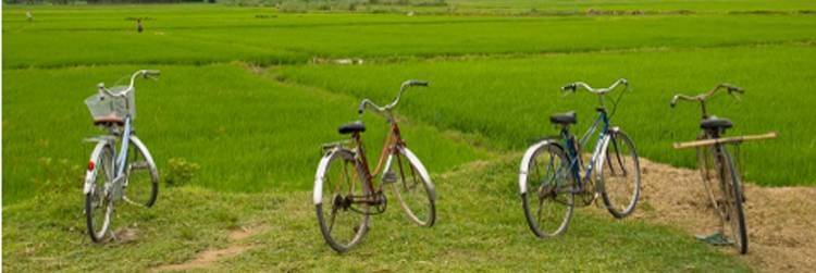 Visite de Borobudur à Bicyclette