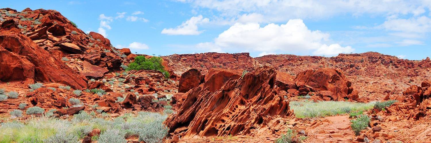 Visite du site de Twyfelfontein