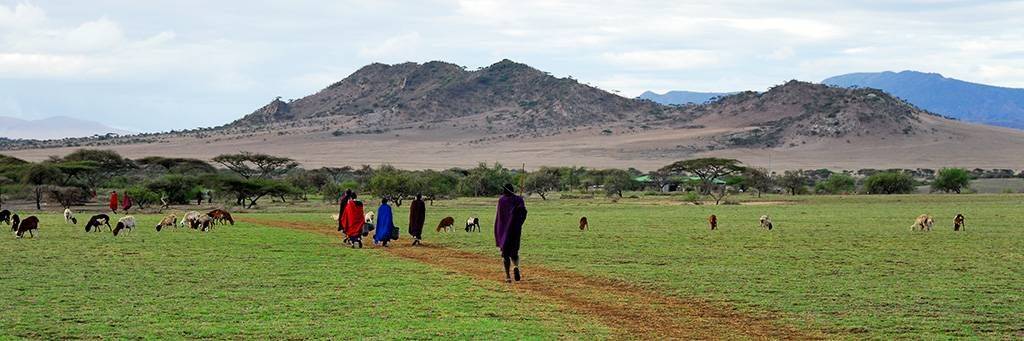 Visite d'un village Masai à Olduvai
