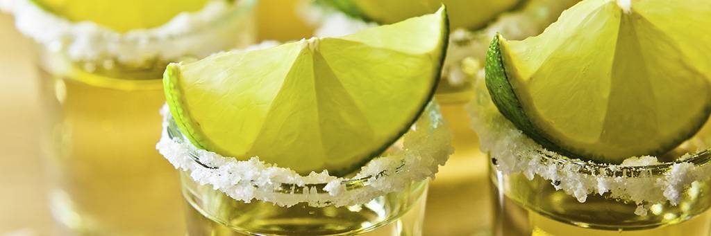 Visite d'une distillerie et dégustation de Tequila