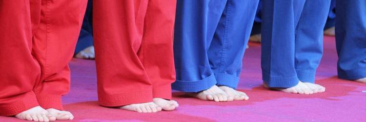 Visite d'une école de Kung Fu (Pékin)