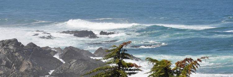 Visite d'Isla Negra