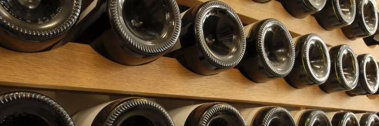 Visite des vignobles de Dragon Seal
